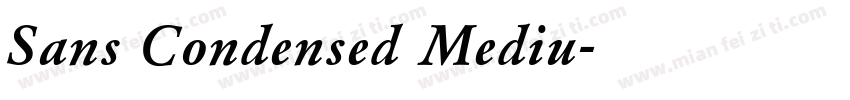 Sans Condensed Mediu字体转换